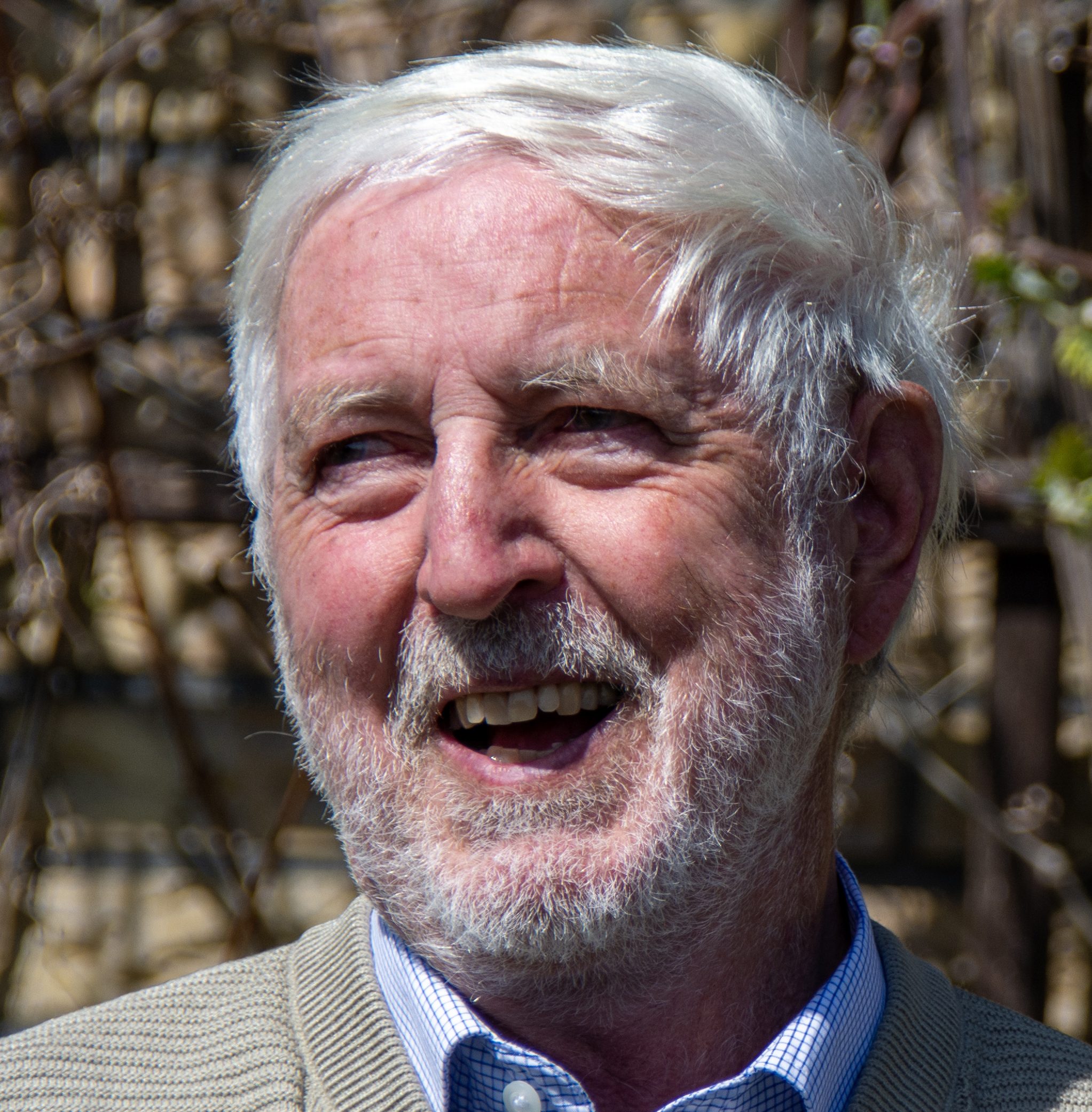 Georg Reinhardt
